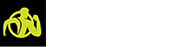 Ifitify Fitness Logo